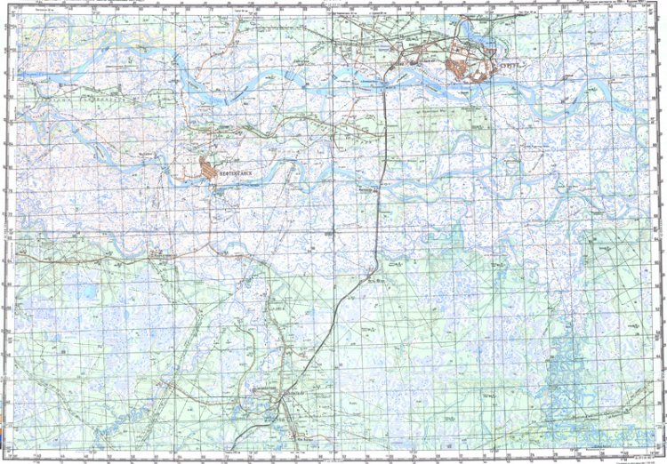 Топографическая карта сургут
