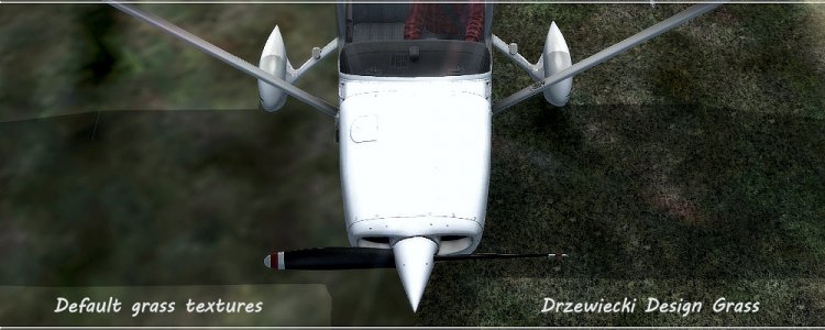 Free Ground Textures