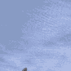 fspassengers pmdg 777 fspassengers pmdg 777